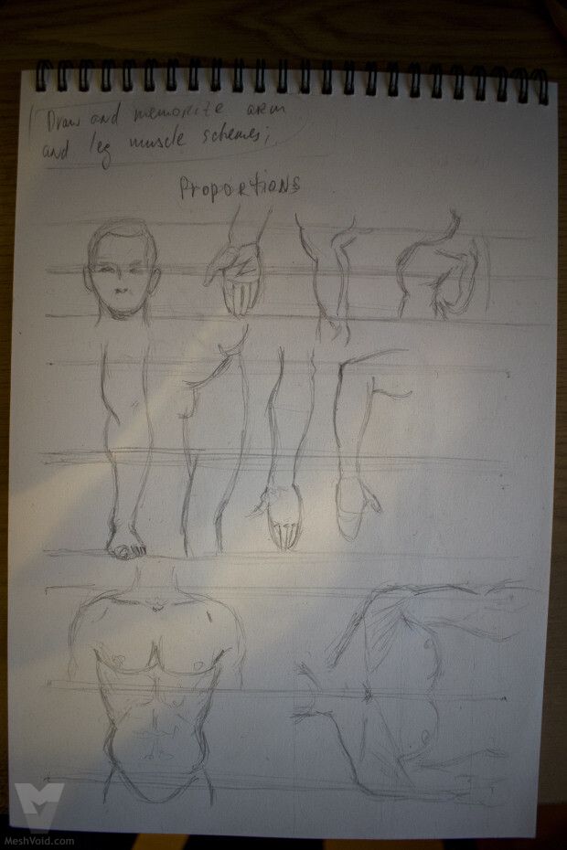 Anatomy sketch from sketchbook - part 10