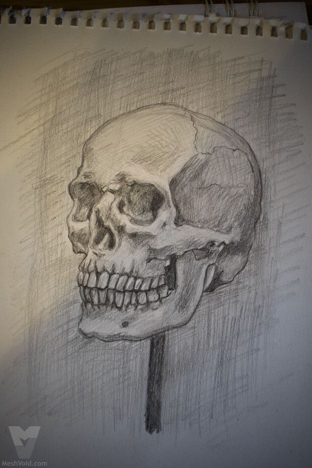 Anatomy sketch from sketchbook - part 2