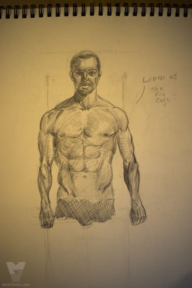 Anatomy sketch from sketchbook - part 8