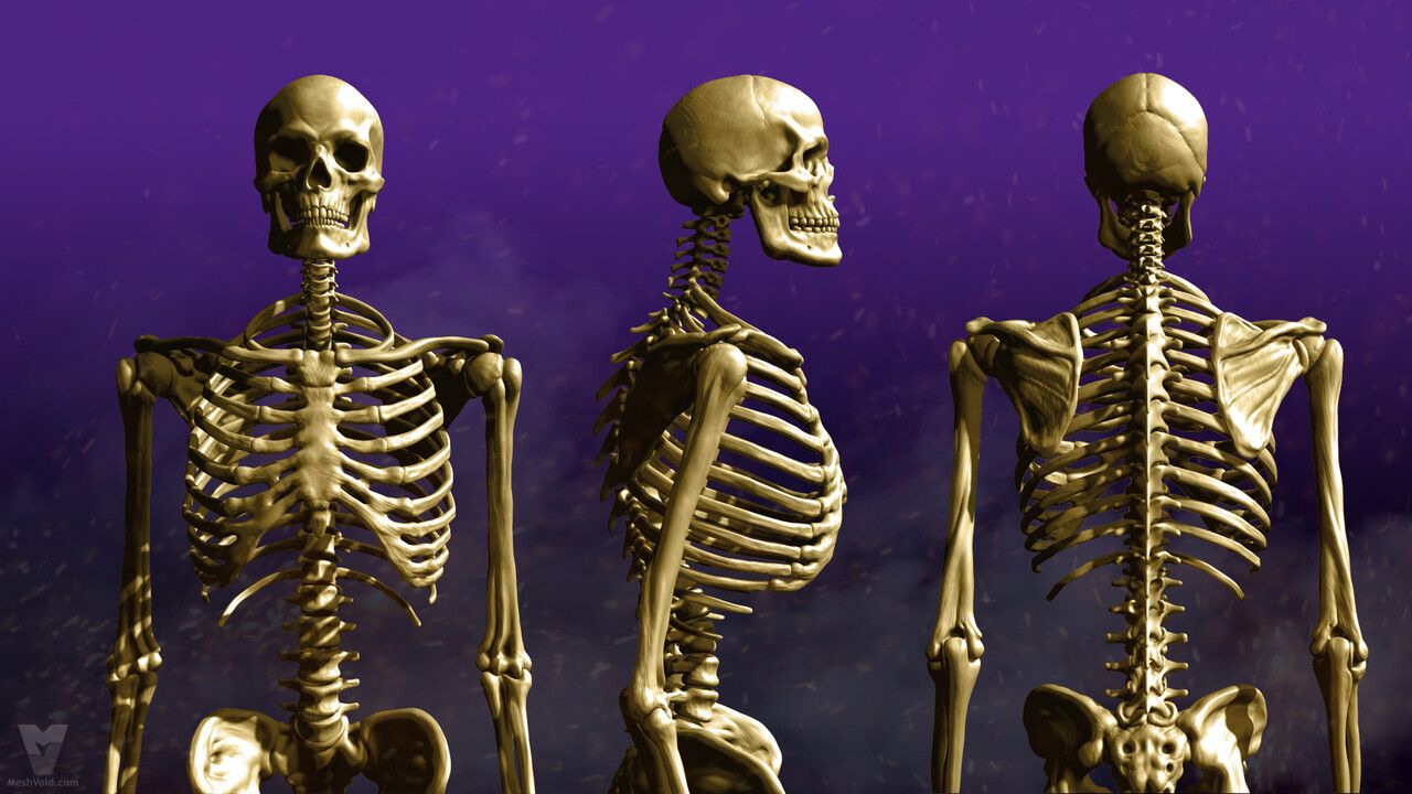 Blog Thumbnail