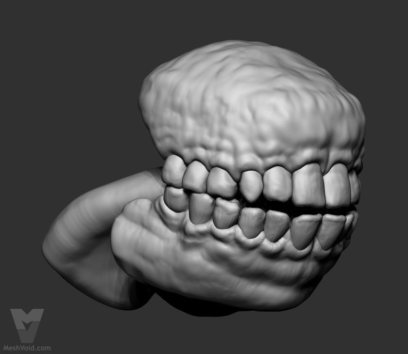 Mad Maude animation project - Granny character insides, digital sculpting process