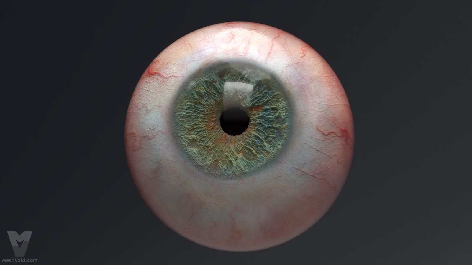 Photorealistic eyes lookdev part 1
