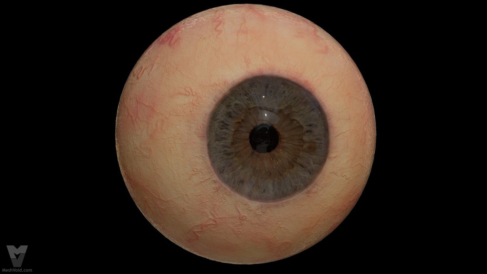 Photorealistic eyes lookdev part 11