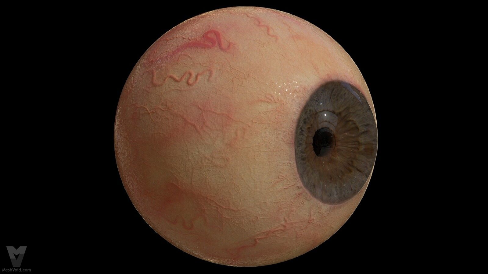Photorealistic eyes lookdev part 12