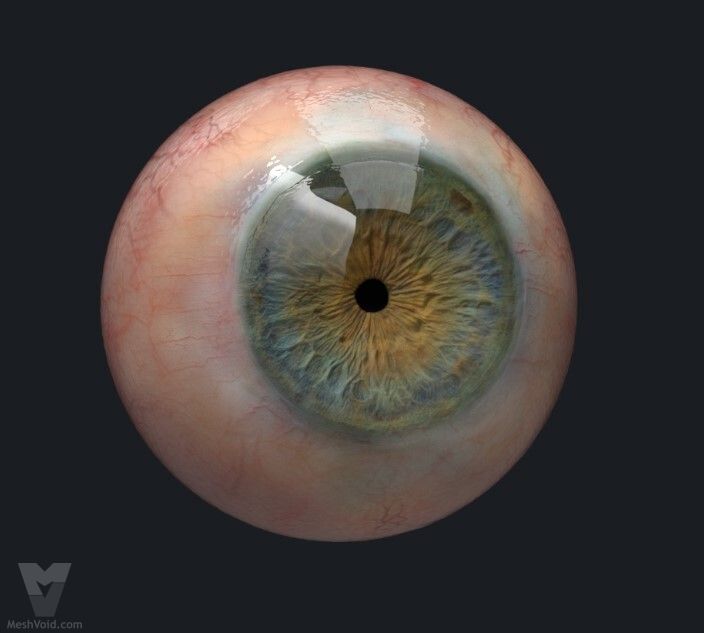 Photorealistic eyes lookdev part 4