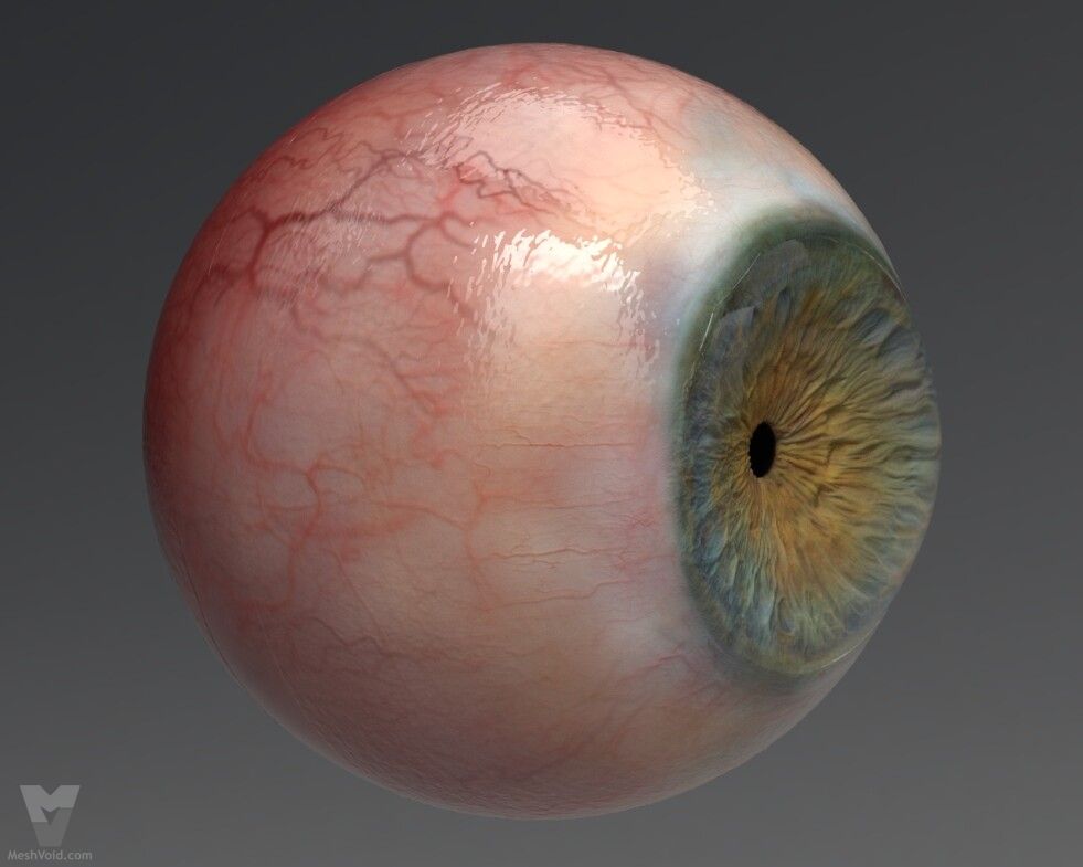 Photorealistic eyes lookdev part 5