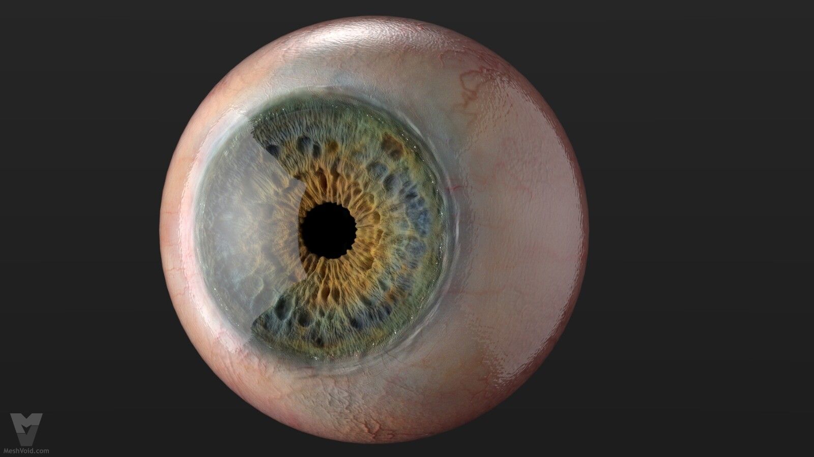 Photorealistic eyes lookdev part 6