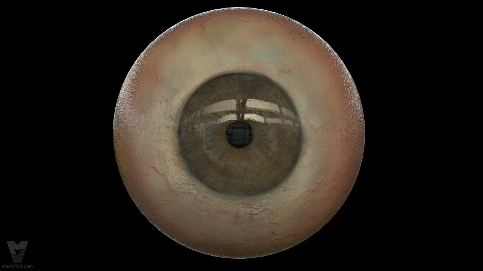 Photorealistic eyes lookdev part 7