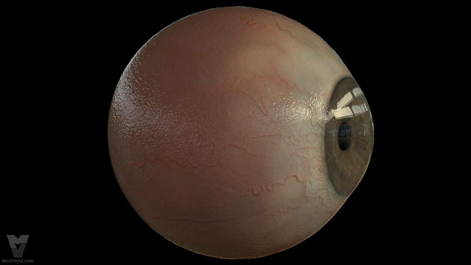 Photorealistic eyes lookdev part 9