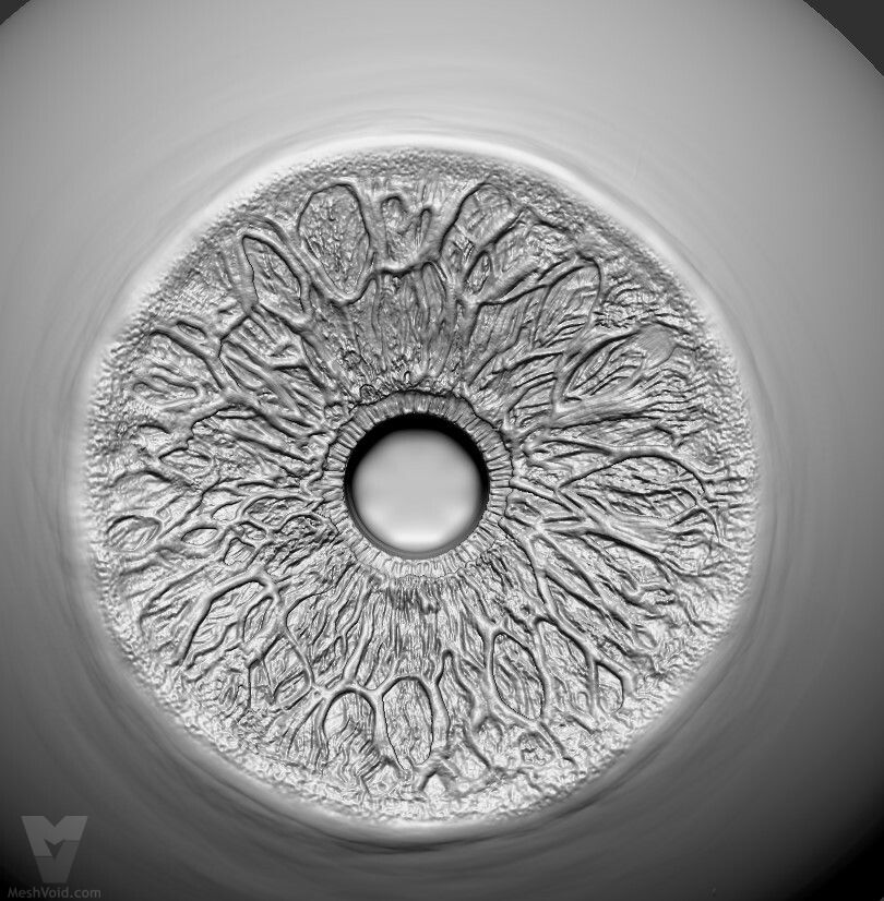 Photo-realistic eyes digital sculpting part 1