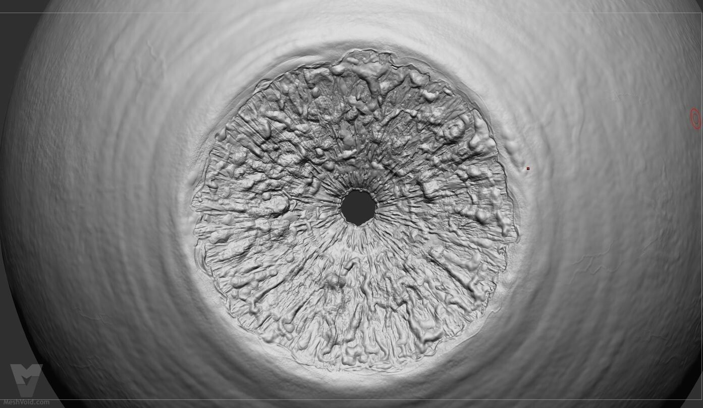 Photo-realistic eyes digital sculpting part 3
