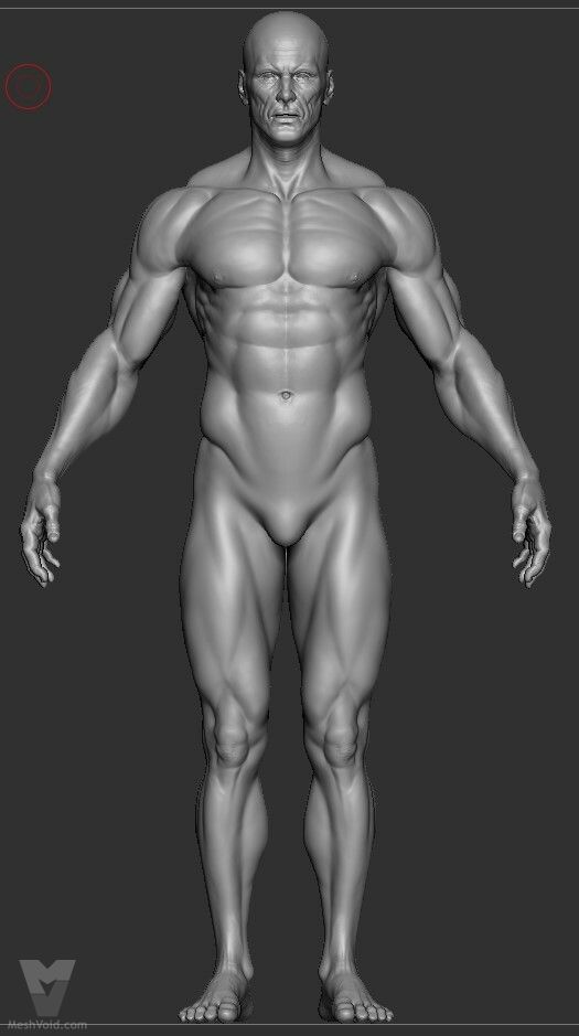 Human basemesh digital sculpture with no skin detailing