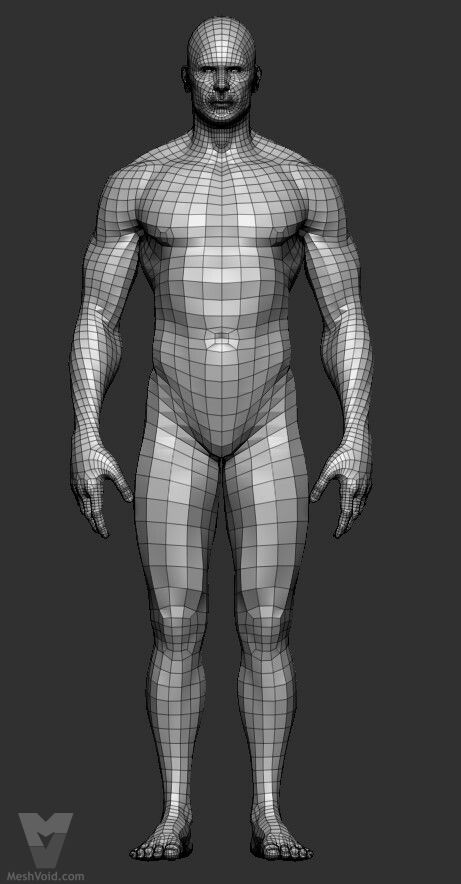 Human basemesh topology map